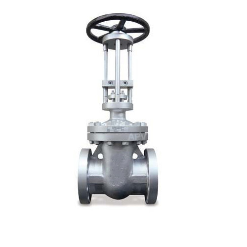 Parallel Side Gate Valves